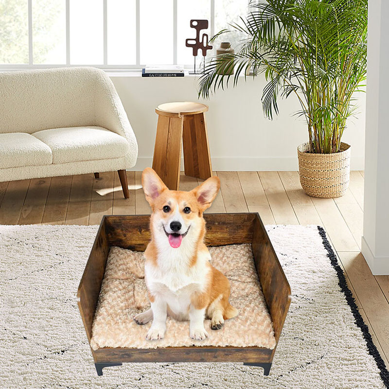 เตียงสุนัขในร่มที่ทันสมัยพร้อมเฟรม เตียงสุนัขในร่มที่ทันสมัยพร้อมเฟรม