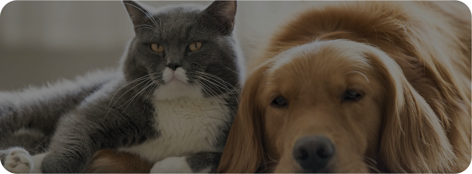 Pet Home (Haian) Co. , Ltd